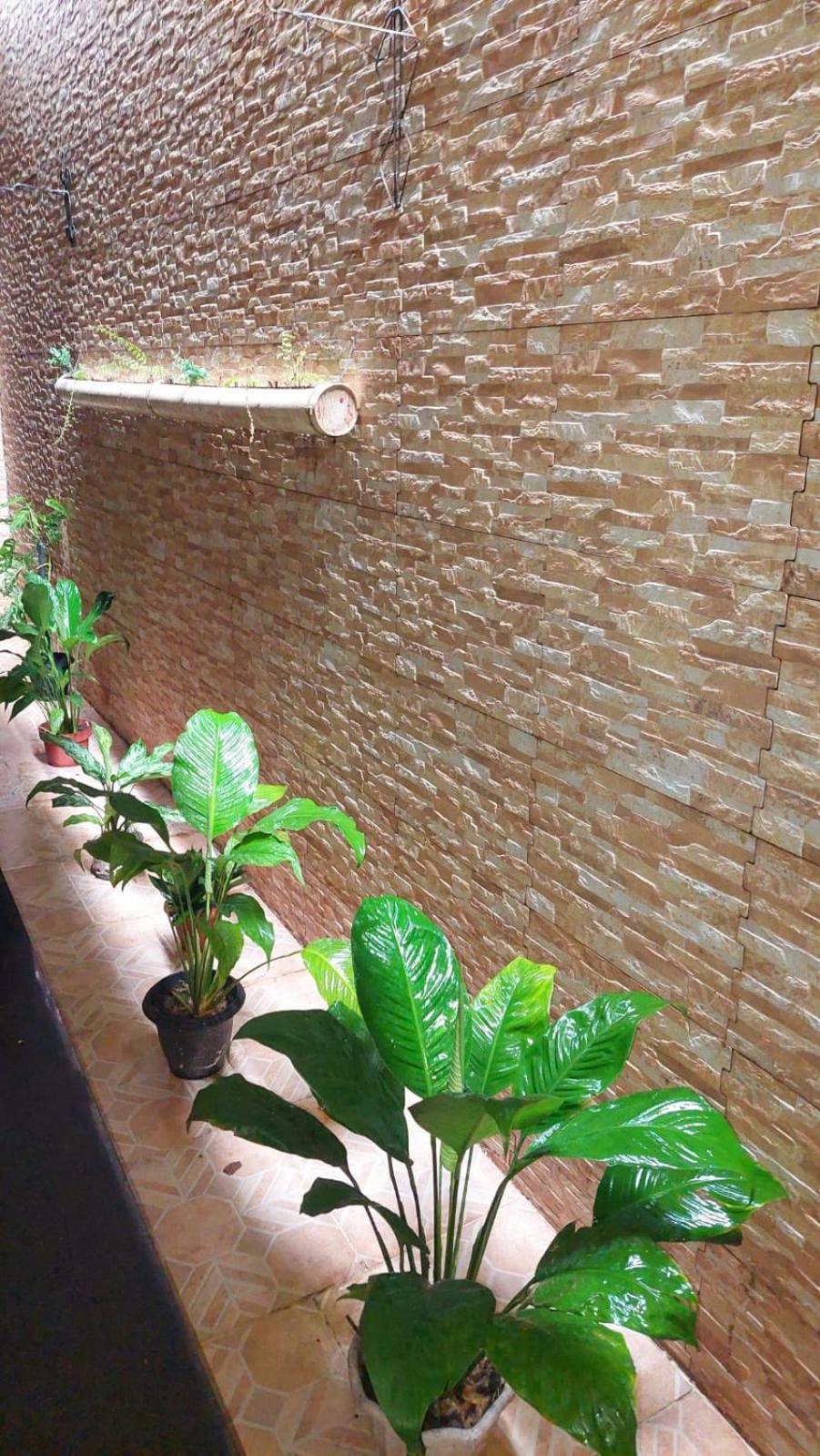 Homestay Will's House